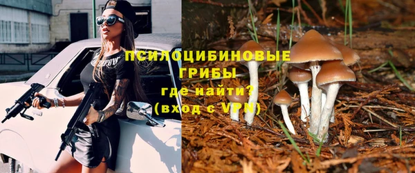 тгк Алзамай
