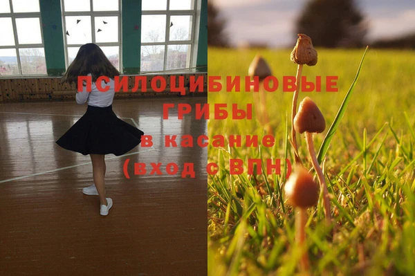 метадон Абаза