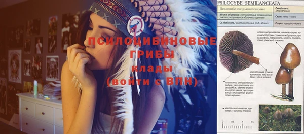 не бодяженный Алексин