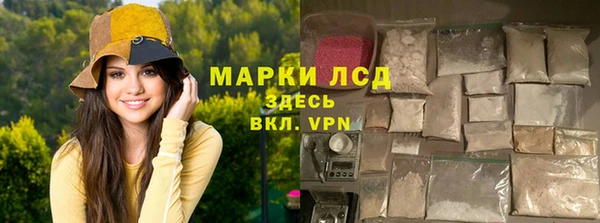 тгк Алзамай