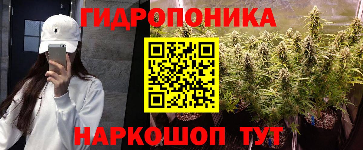 Югорск  Бошки Шишки VHQ  Каннабис план  Каннабис ГИДРОПОН  Вход с VPN 